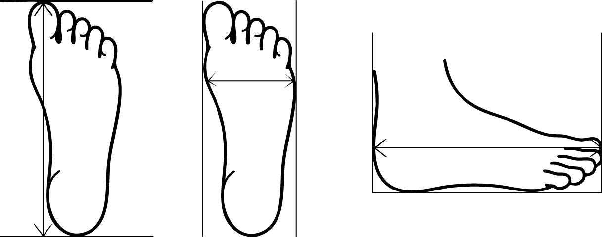 Foot length