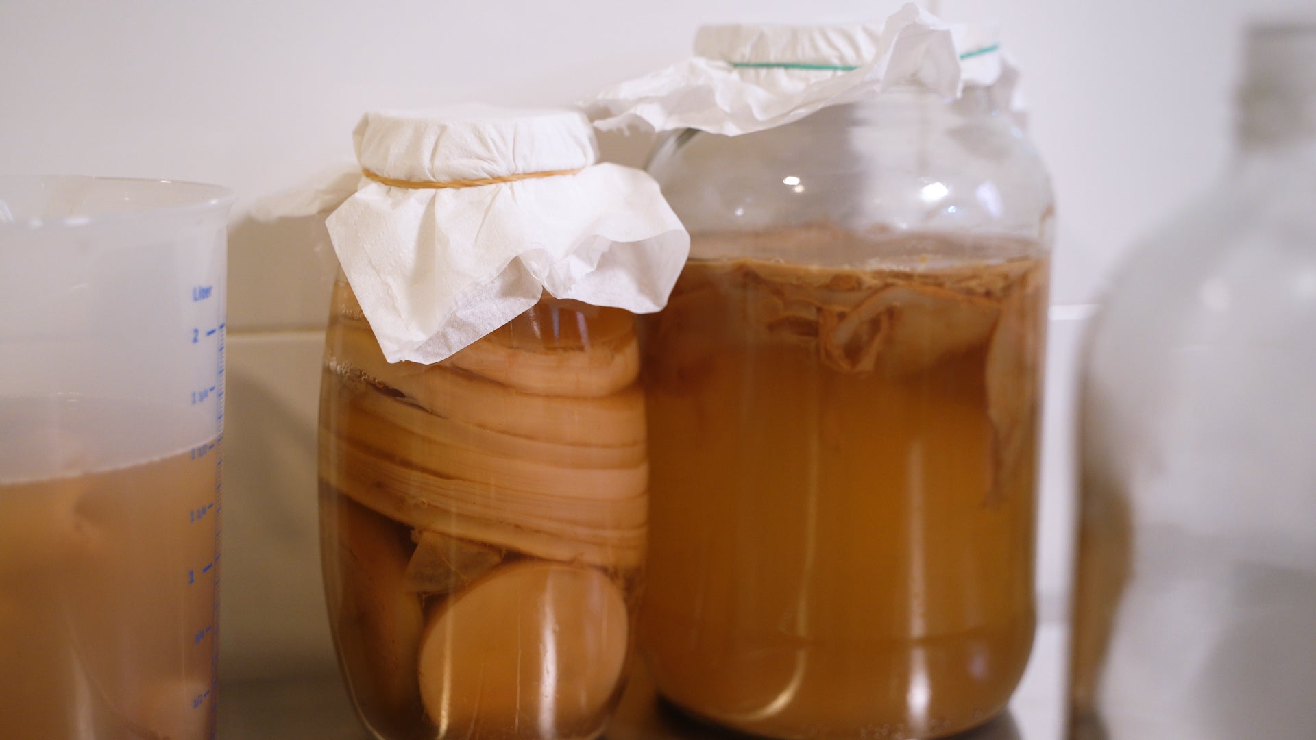 SAYE Talks - Gòtic ferments
